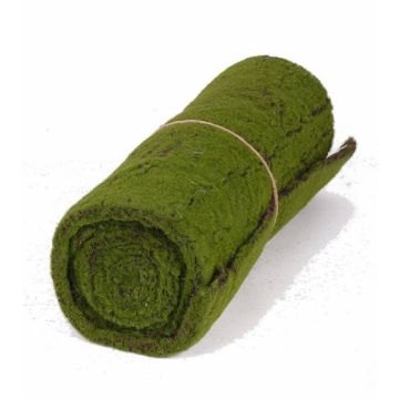 Tappeto di muschio CUNO, verde-marrone, 205x50cm
