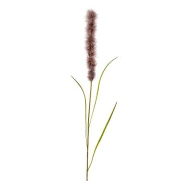 Piuma di erba della pampa artificiale JARME, malva, 100 cm