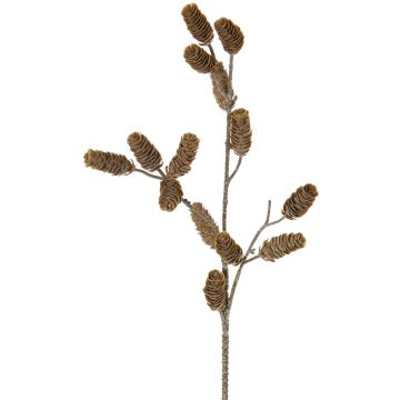 Ramo di abete decorativo LONGIH con pigne, marrone-bianco, 75 cm