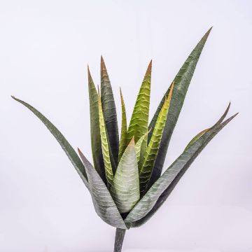 Aloe artificiale MARTINEZ, su stelo, verde, 30cm, Ø17cm