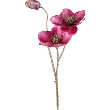Ramo artificiale Rosa di Natale GRIMFAL, magenta, 55 cm