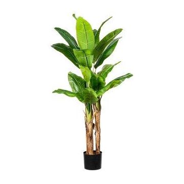 Palma artificiale Pianta di banano FABIEN, 150 cm