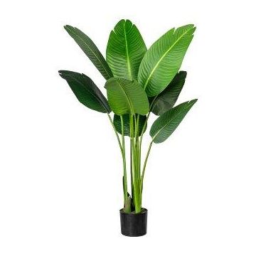 Pianta artificiale Strelitzia DREVORA, verde, 120 cm