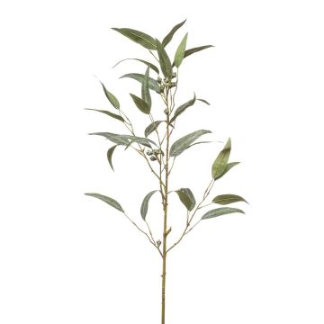 Ramo artificiale Eucalipto JURKA con frutti, verde-grigio, 90 cm