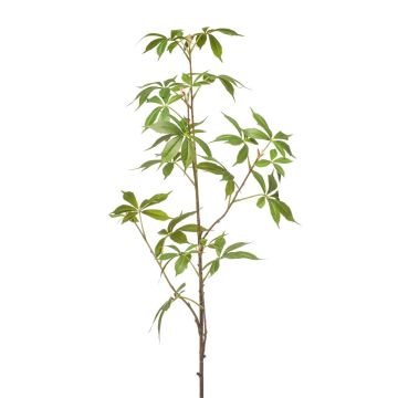 Ramo decorativo canapa KUNOVI, verde, 105 cm