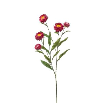 Ramo decorativo fiore di paglia SNAVIK, rosa, 70 cm