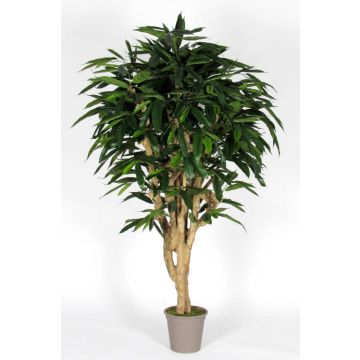 Longifolia decorativa RAFIKO, tronchi naturali, verde, 200 cm - Made in Italy