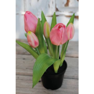 Tulipano artificiale CAITLYN in vaso decorativo, rosa-verde, 25cm, Ø2-6cm