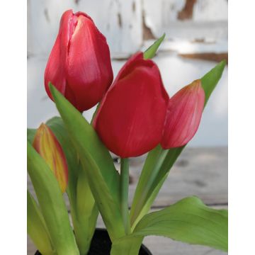 Tulipano artificiale CAITLYN in vaso decorativo, fucsia-verde, 25cm, Ø2-6cm