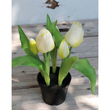 Tulipano artificiale CAITLYN in vaso decorativo, bianco-verde, 25cm, Ø2-6cm