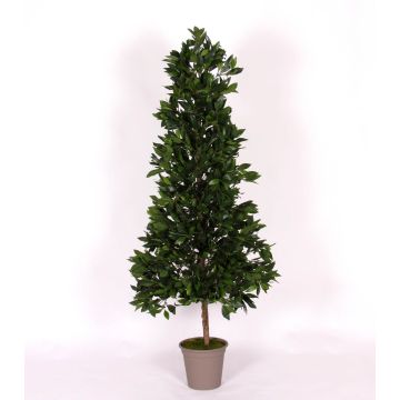 Piramide decorativa lauroceraso KUSJENKA, tronchi naturali, frutti, 150 cm - Made in Italy