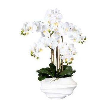 Orchidea Phalaenopsis artificiale ZALBROK, vaso decorativo bianco, radici, bianco, 75 cm