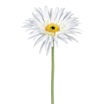 Fiore decorativo Gerbera FELISY, bianco, 65 cm