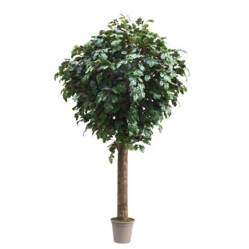 Quercia finta MISIANA, tronchi naturali, verde, crossdoor, 175 cm - Made in Italy