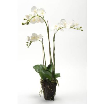 Orchidea finta PABLA con terriccio, bianco, 70cm, Ø8-10cm