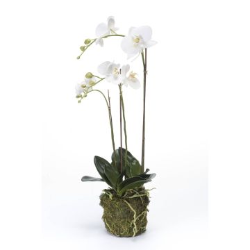Orchidea finta PABLA con terriccio, bianco, 70cm, Ø7-12cm