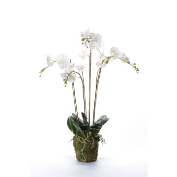 Orchidea finta PABLA con terriccio, bianco, 90cm, Ø10-13cm