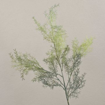 Asparagus sprengeri artificiale RUNAL, verde, 80 cm