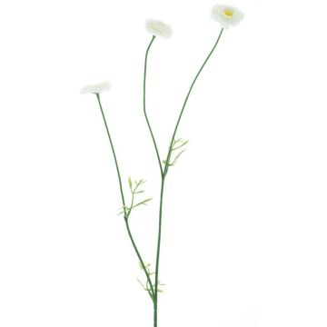 Fiori decorativi ramo Bellis NIKSA, crema, 55 cm