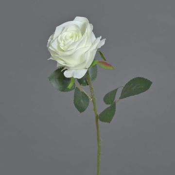 Rosa artificiale SIMONY, crema, 45cm, Ø8cm