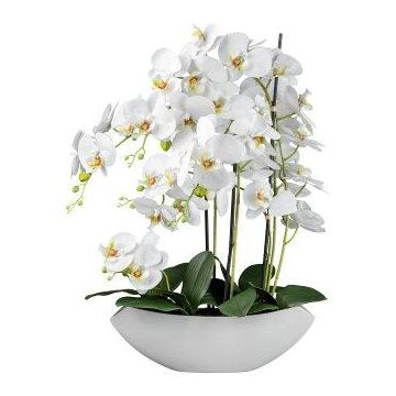 Fiore artificiale Phalaenopsis Orchidea XELAV, vaso di ceramica, bianco, 65 cm