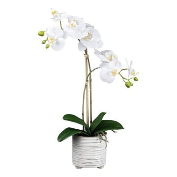 Orchidea Phalaenopsis in tessuto GROTVER, vaso in ceramica, radici, bianco, 50 cm