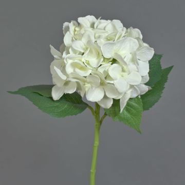 Ortensia artificiale GABRIELLA, crema, 50cm, Ø18cm