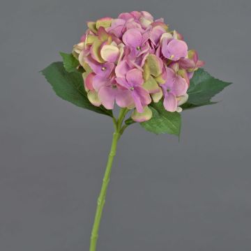 Ortensia artificiale GABRIELLA, rosa, 50cm, Ø18cm