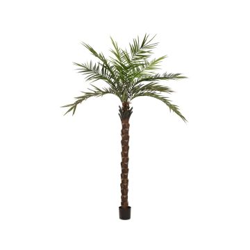 Palma Kentia artificiale MARCOS, 300cm