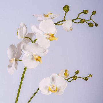 Ramo di orchidea artificiale LAHNA, bianco, 95cm, Ø5-10cm