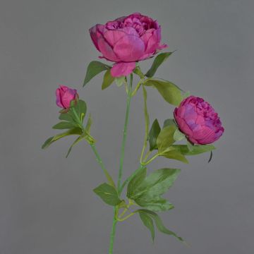 Ramo artificiale di peonia MEIRU, viola scuro, 70 cm