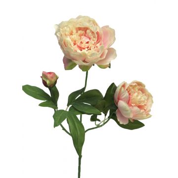 Ramo artificiale di peonia MEIRU, rosa albicocca, 70 cm