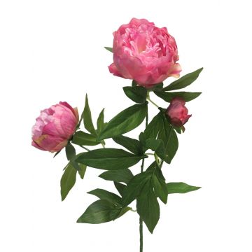 Ramo artificiale di peonia MEIRU, rosa, 70 cm