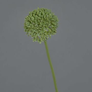 Allium artificiale BAILIN, verde, 40 cm