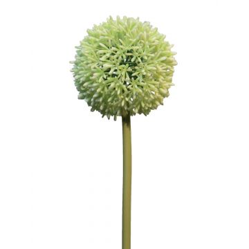 Allium artificiale BAILIN, verde crema, 65 cm