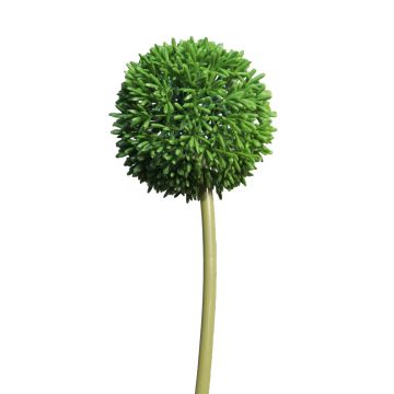 Allium artificiale BAILIN, verde, 65 cm
