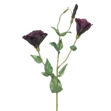 Lisianthus artificiale FEIYUN, viola scuro, 85 cm