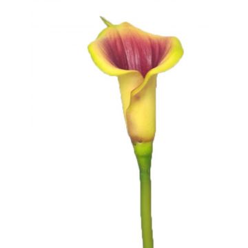 Calla artificiale SHUNYA, giallo-viola, 65 cm