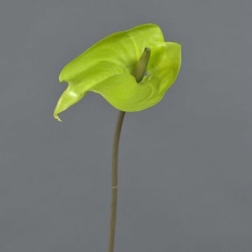Anturio artificiale FEIWU, verde chiaro, 65 cm