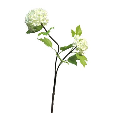 Ramo decorativo di viburnum ALUO, crema, 50 cm