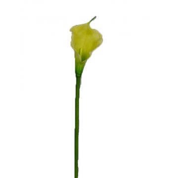 Calla artificiale DOU, giallo-verde, 70 cm