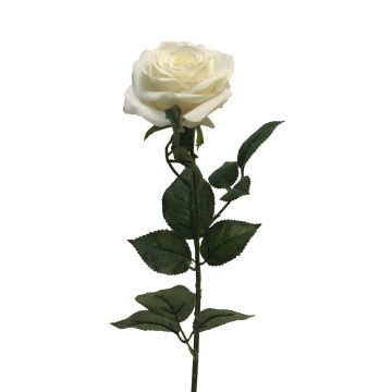 Rosa artificiale KAILIN, crema, 65 cm