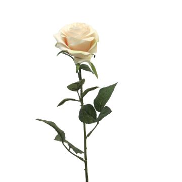 Rosa artificiale KAILIN, rosa crema, 65 cm