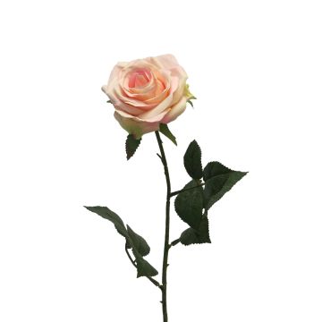 Rosa artificiale KAILIN, rosa-crema, 65 cm