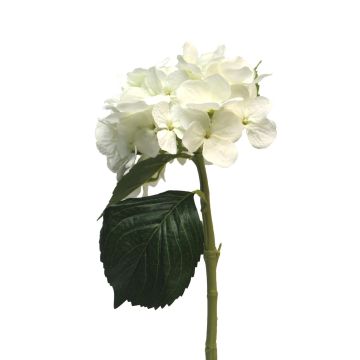 Ortensia artificiale XINCHENG, bianco, 50 cm