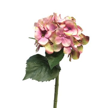 Ortensia artificiale XINCHENG, rosa-verde, 50 cm