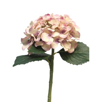 Ortensia artificiale XINCHENG, rosa antico, 50 cm