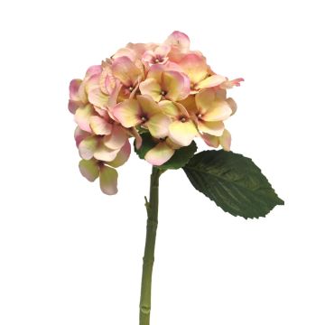 Ortensia artificiale XINCHENG, rosa-giallo, 50 cm