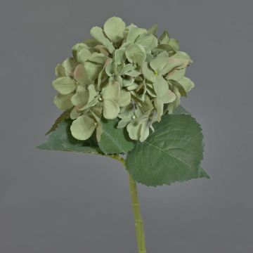 Ortensia artificiale FUXIANG, verde-rosa, 50 cm