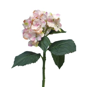 Ortensia artificiale FUXIANG, rosa-crema, 50 cm